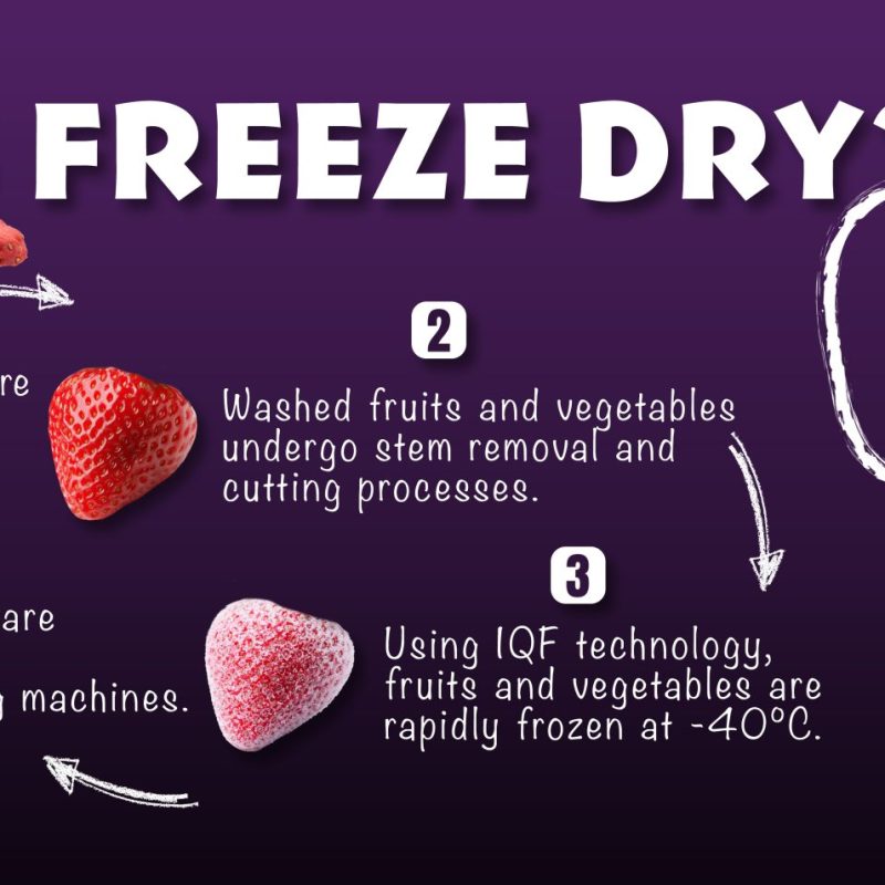 freeze dry nedir banner eng